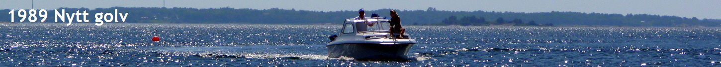 1989 Nytt golv