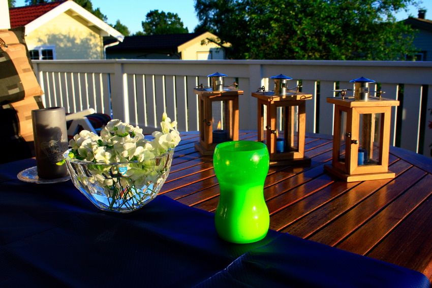 2010 07 20 IMG_5425