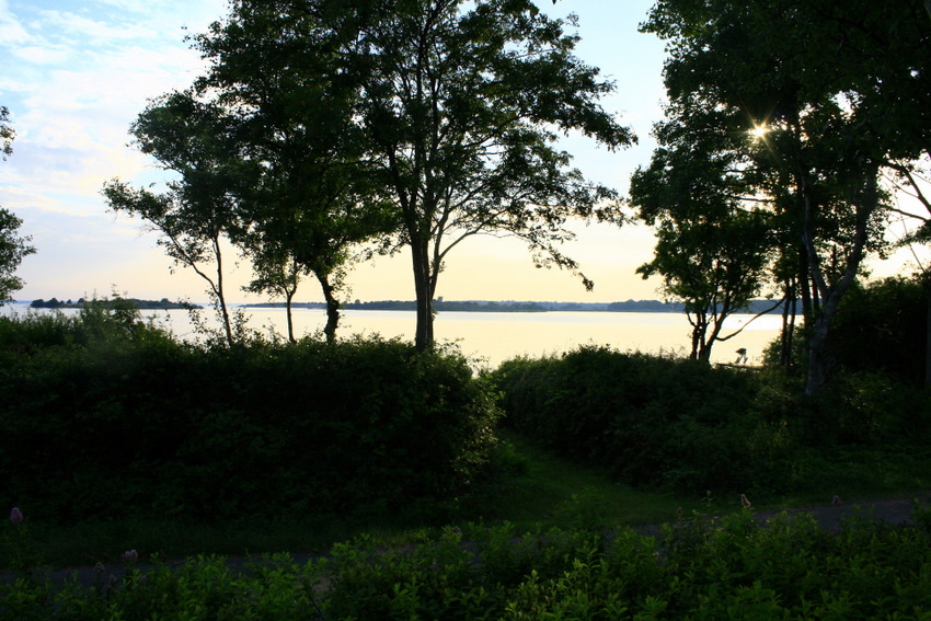 2010 08 01 IMG_5595