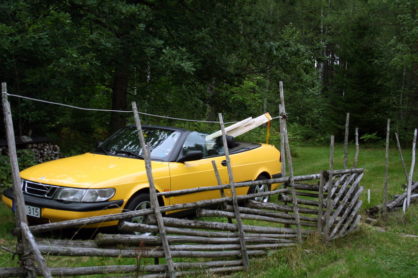 2010 08 07 IMG_5802