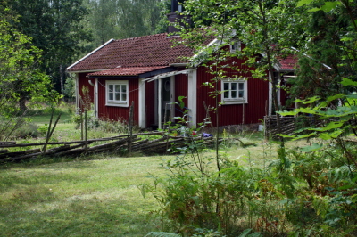 2010 08 10 IMG_5961