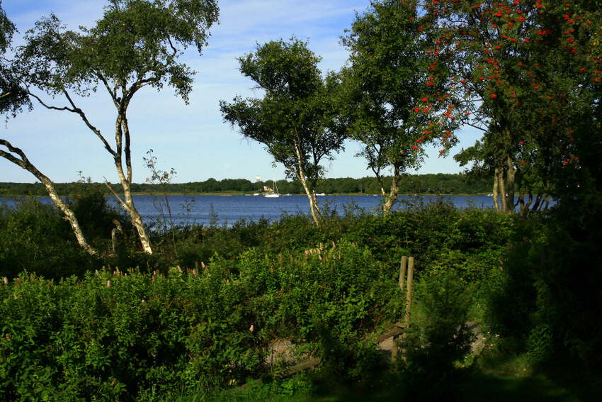 2010 09 04 IMG_6130