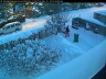 2010 12 21 Gia skottar 1