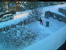 2010 12 21 Gia skottar 2
