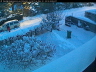 2010 12 21 Gia skottar fram bilen