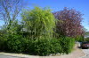2011 04 29 IMG_8945
