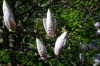 2011 04 29 IMG_8961