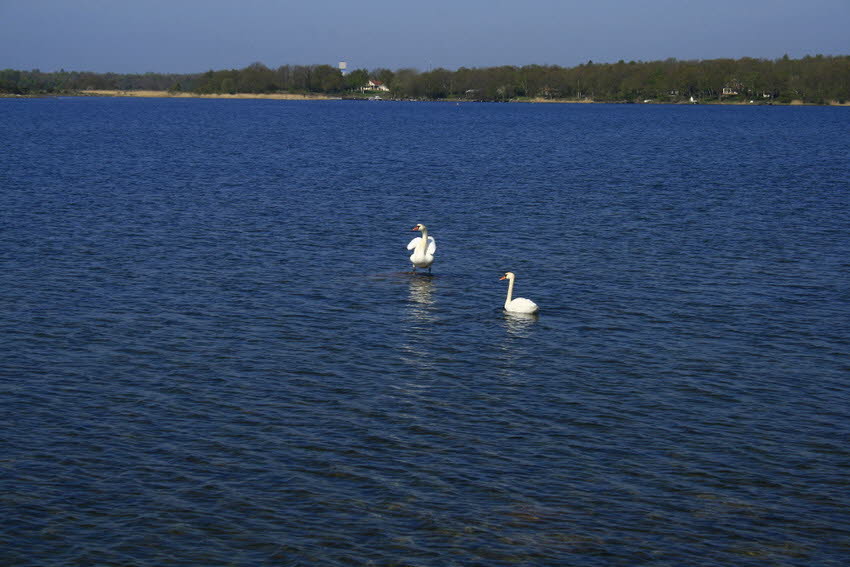 2011 05 07 IMG_9001