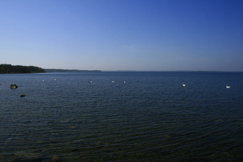2011 05 07 IMG_9005
