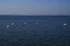 2011 05 07 IMG_9021
