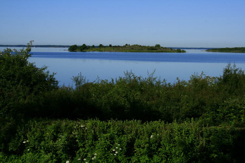 2011 06 28 IMG_9766