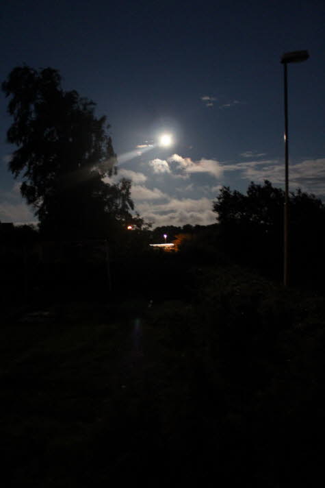 2011 07 16 IMG_0409
