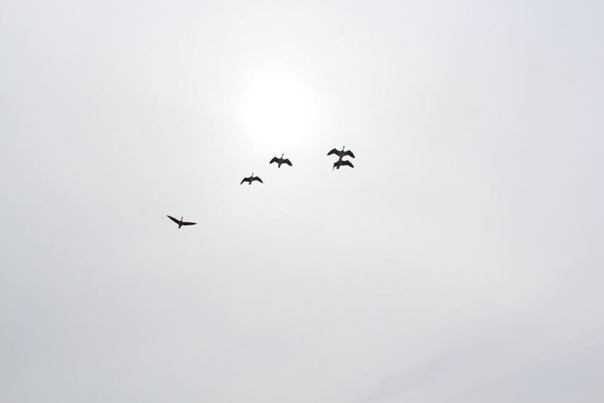 2011 07 17 IMG_0557