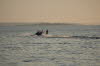 2011 07 18 IMG_0621