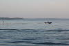 2011 07 18 IMG_0729