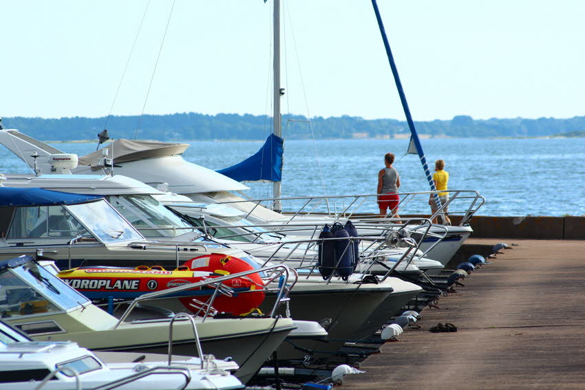 2011 08 01 IMG_1895