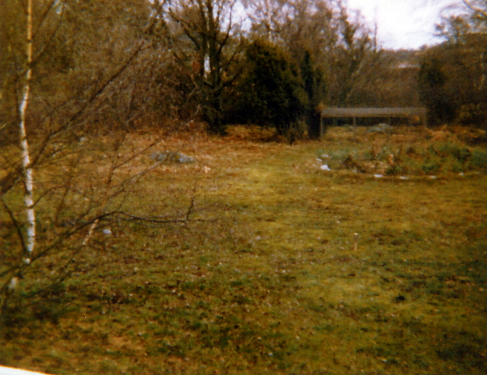Album 02 1977 069
