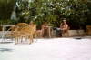 Album 02 1977 093