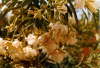 Album 03 1978 002