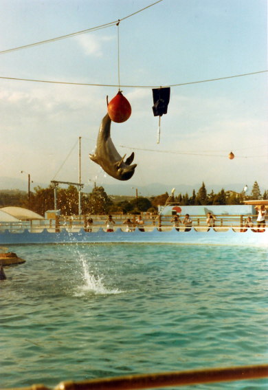 Album 07 1982-1983 054