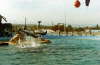 Album 07 1982-1983 055