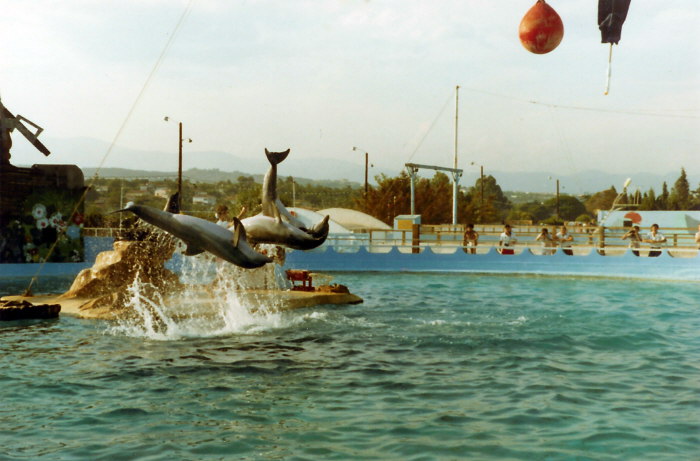 Album 07 1982-1983 055