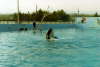 Album 07 1982-1983 056