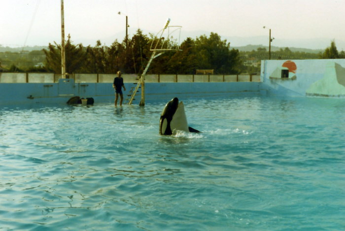 Album 07 1982-1983 056