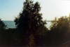 Album 07 1982-1983 121
