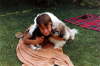 Album 07 1982-1983 142