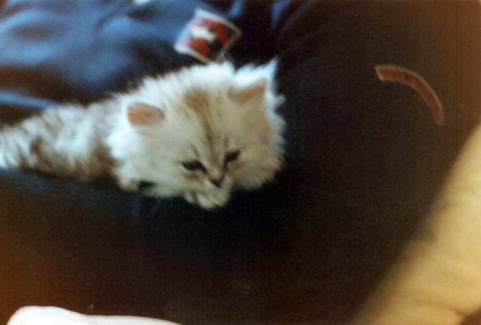 Album 09 1984 102