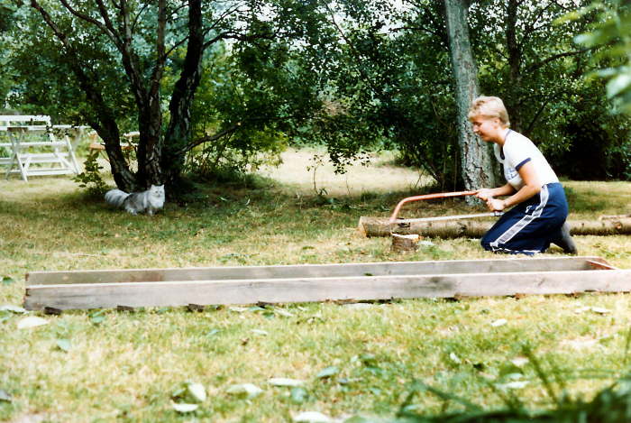 Album 11 1985-1986 013