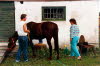 Album 13 1986-08-1986-12 028