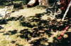 Album 13 1986-08-1986-12 065